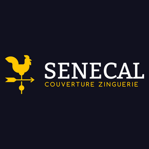 Senecal Cousance, Professionnel indépendant