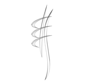 Clotilde Grillot Collard Dijon, Professionnel indépendant